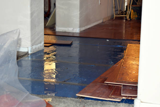 Professional Water Damage Restoration technician working in Sullivan, MO